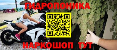 крисы Краснокаменск