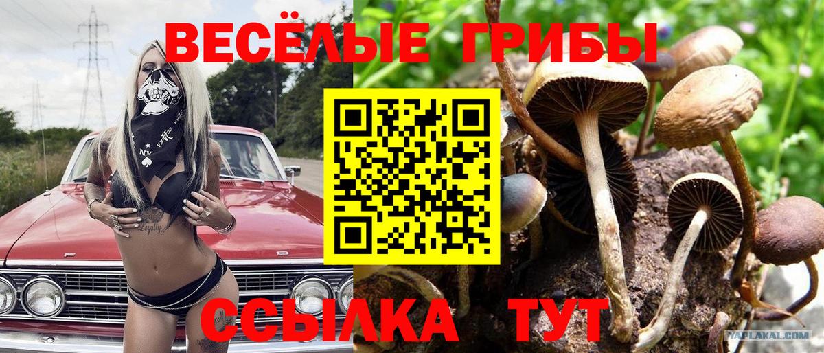 Галлюциногенные грибы MAGIC MUSHROOMS Карталы