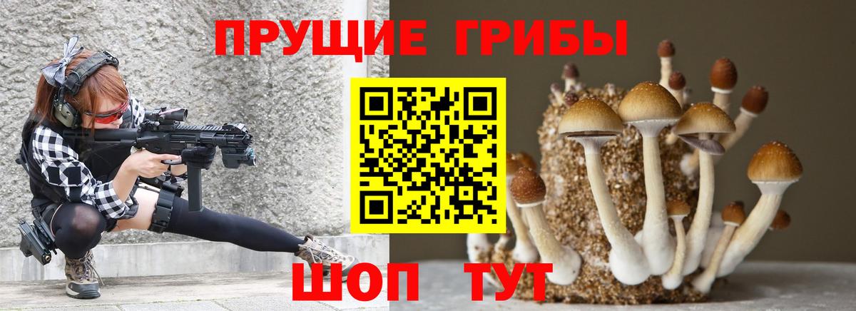 Псилоцибиновые грибы Magic Shrooms  Вход с VPN  Карталы  Псилоцибиновые грибы GOLDEN TEACHER 